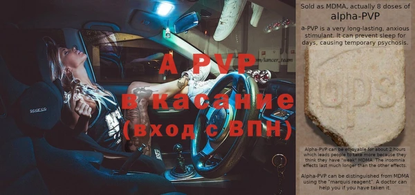 ПСИЛОЦИБИНОВЫЕ ГРИБЫ Осташков