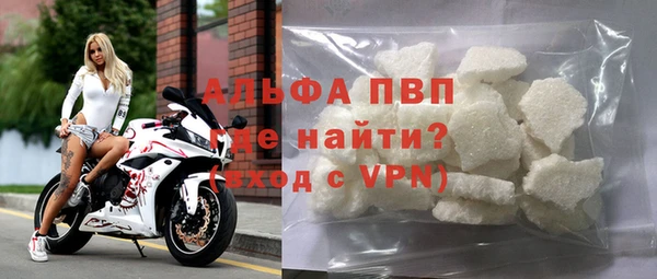 ПСИЛОЦИБИНОВЫЕ ГРИБЫ Осташков