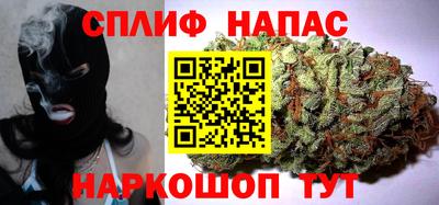 прущие грибы Азнакаево