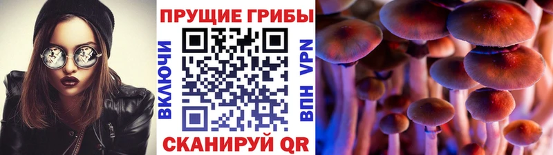 Галлюциногенные грибы MAGIC MUSHROOMS кракен сайт Азнакаево магазин