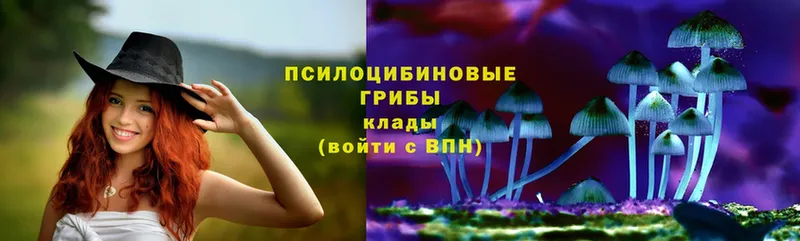 Псилоцибиновые грибы прущие грибы  где купить   Азнакаево 