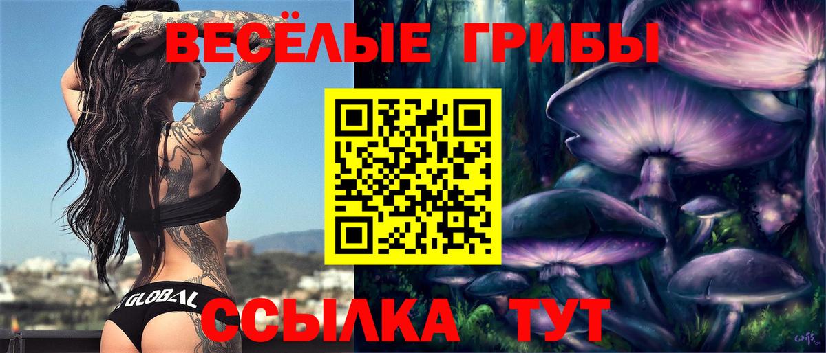 Азнакаево  Псилоцибиновые грибы Cubensis  Вход с VPN  как найти наркотики  Псилоцибиновые грибы Psilocybe 