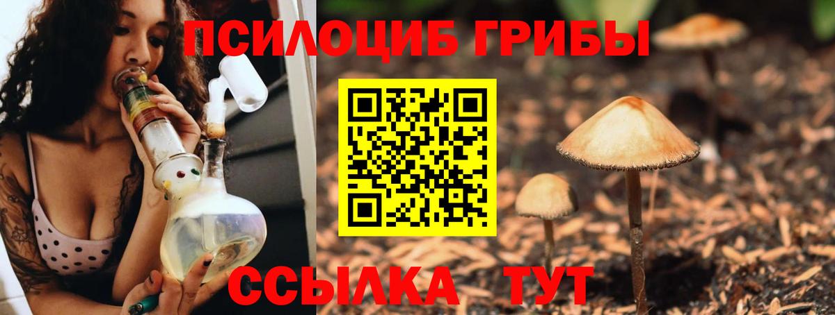 Псилоцибиновые грибы Magic Shrooms  Азнакаево  купить   Псилоцибиновые грибы Cubensis 