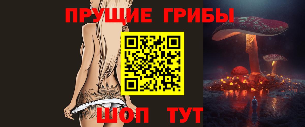 Псилоцибиновые грибы Psilocybe Азнакаево